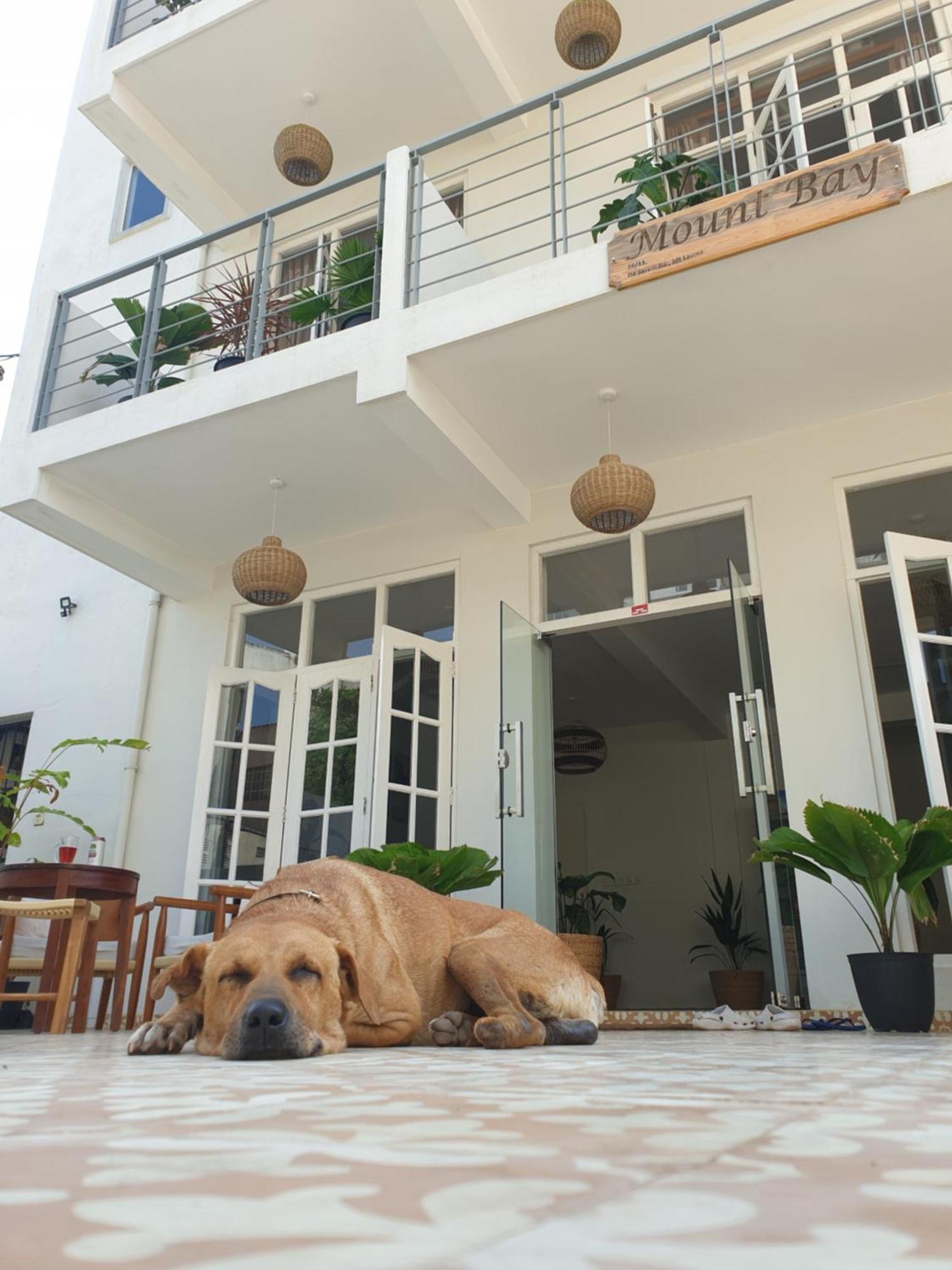 Mountbaylk Hotel Dehiwala-Mount Lavinia ภายนอก รูปภาพ