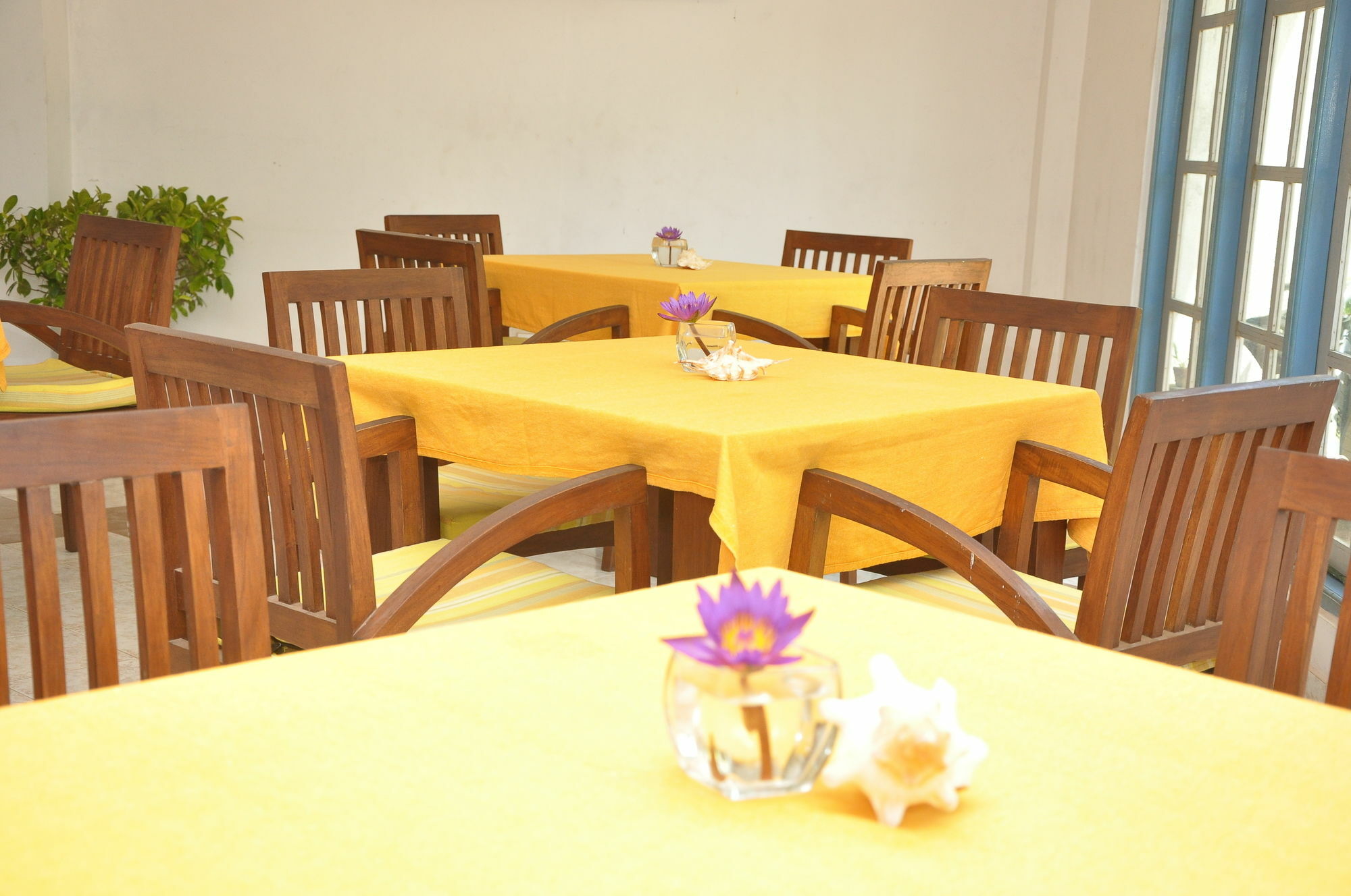 Mountbaylk Hotel Dehiwala-Mount Lavinia ภายนอก รูปภาพ